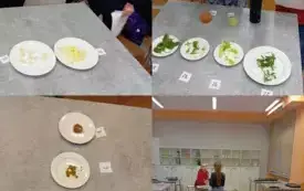 472774088_1206121017905131_1678378774979584961_n