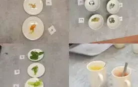 472571336_1206121004571799_915528179298487283_n