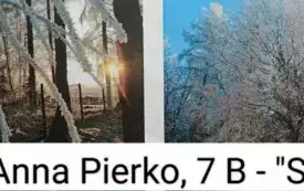Zdjęcie WhatsApp 2025-03-14 o 15.24.22_5afc4d9a
