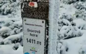 Zdjęcie WhatsApp 2025-03-14 o 15.24.19_9ccf9bb6