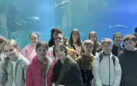498689537_1312173183966580_8842580299743067986_n
