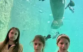 502568078_1322489832934915_5177936365233143242_n