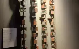 501794947_1322409426276289_5556058413729459749_n