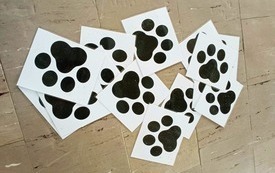 277302630_3430085657219390_6720678142920281456_n