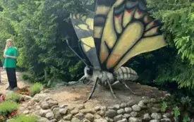 505152157_1331597932024105_5504594461366586202_n