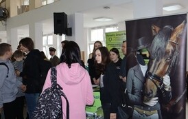 IMG_0878