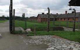 IMG_20220608_143502