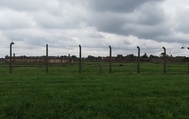 IMG_20220608_142413
