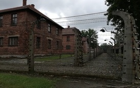 IMG_20220608_134019