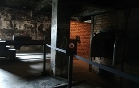 IMG_20220608_133908