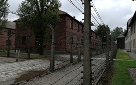 IMG_20220608_133537