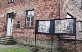 IMG_20220608_130226