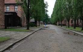 IMG_20220608_130152