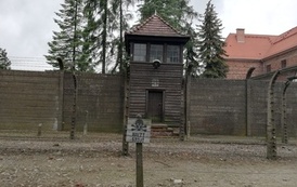 IMG_20220608_124909