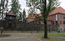 IMG_20220608_124832