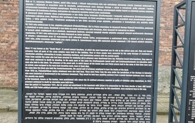 IMG_20220608_124811