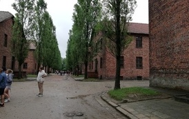 IMG_20220608_124452
