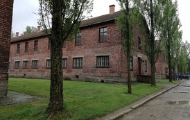 IMG_20220608_124448