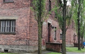 IMG_20220608_124442