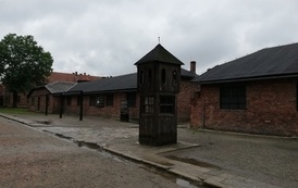 IMG_20220608_122751