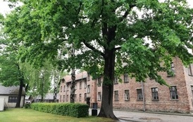 IMG_20220608_122717