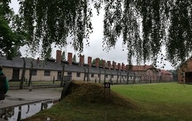 IMG_20220608_122423