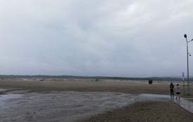 IMG_20220608_093900