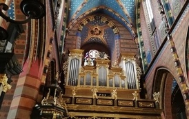 IMG_20220607_141038