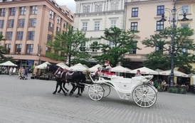IMG_20220607_162229