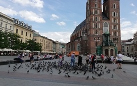 IMG_20220607_144237