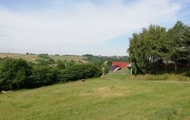 IMG_20220607_082331
