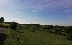 IMG_20220607_082313