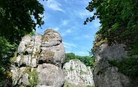 IMG_20220606_144029