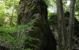 IMG_20220606_142411