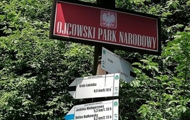 IMG_20220606_141800