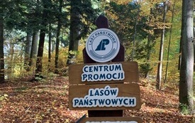 przed zdjęciami o Centrum