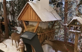 IMG_20211025_114849