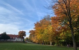 IMG_5937