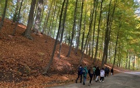 IMG_5935