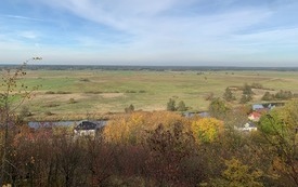 IMG_5916