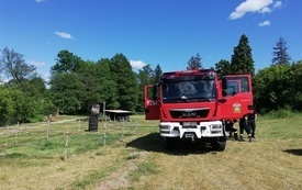 IMG_20230602_145501