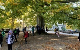 IMG_5774