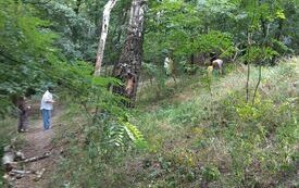 IMG_20230915_094219