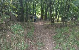 IMG_20230915_093959