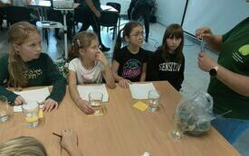 IMG_20231004_141300