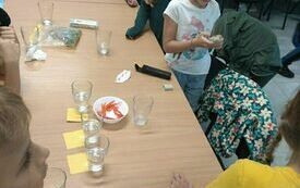 IMG_20231004_140730