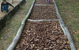 IMG_20231004_121248