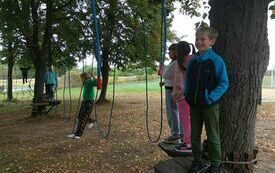 IMG_20231004_115315