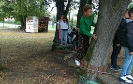 IMG_20231004_114915