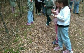 IMG_20231004_113331